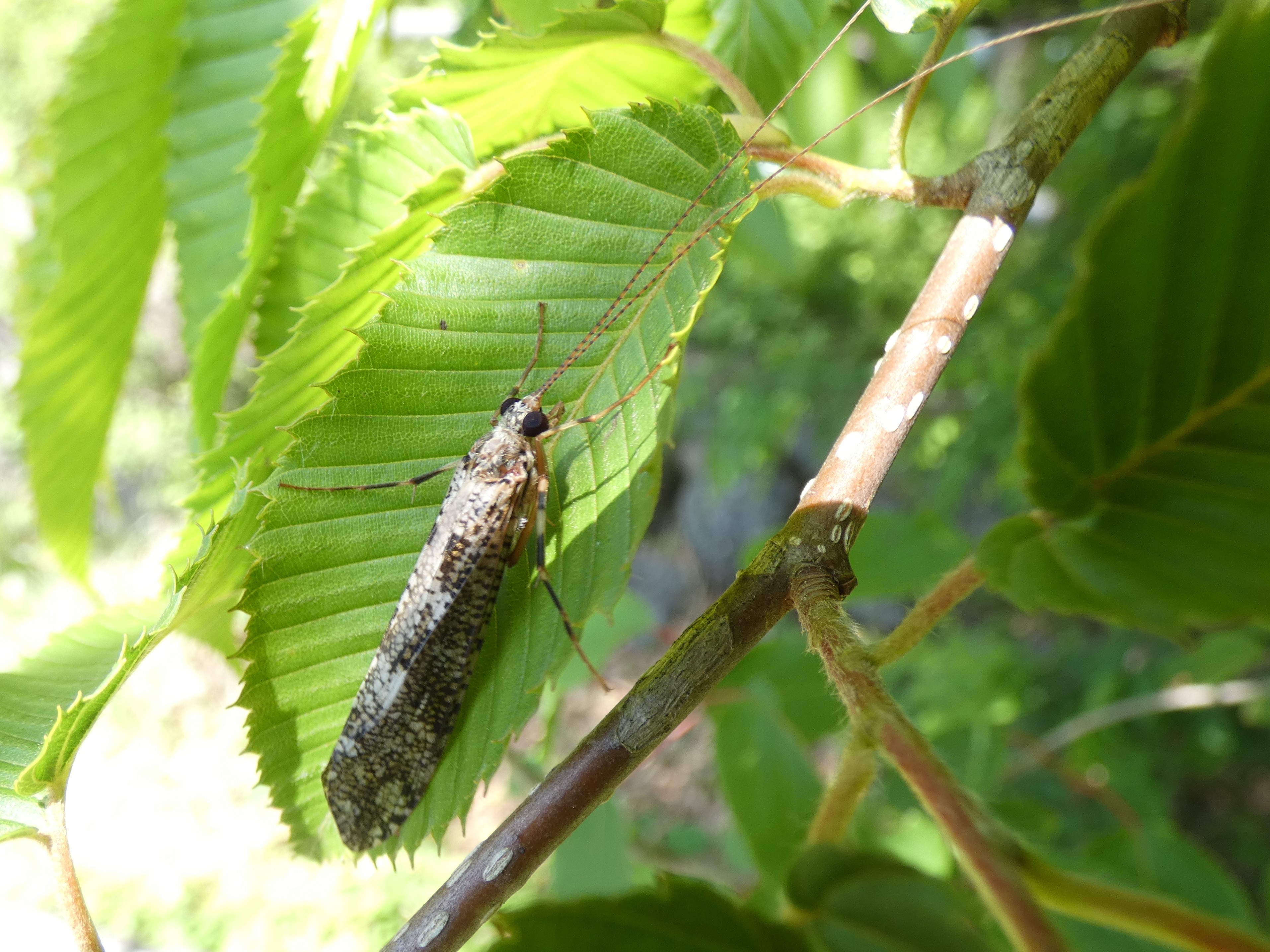 photo_1